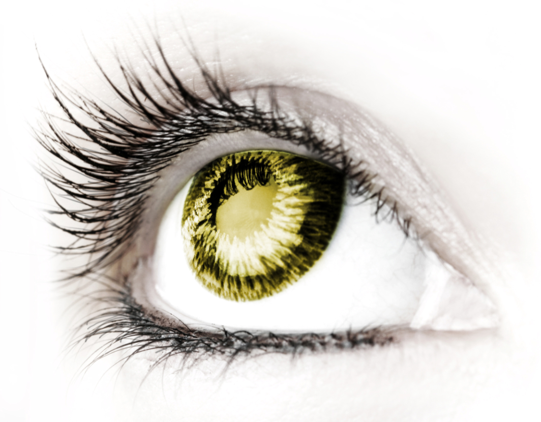 Smith & Swepson eye branding